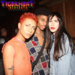 TigerHeat photo 2