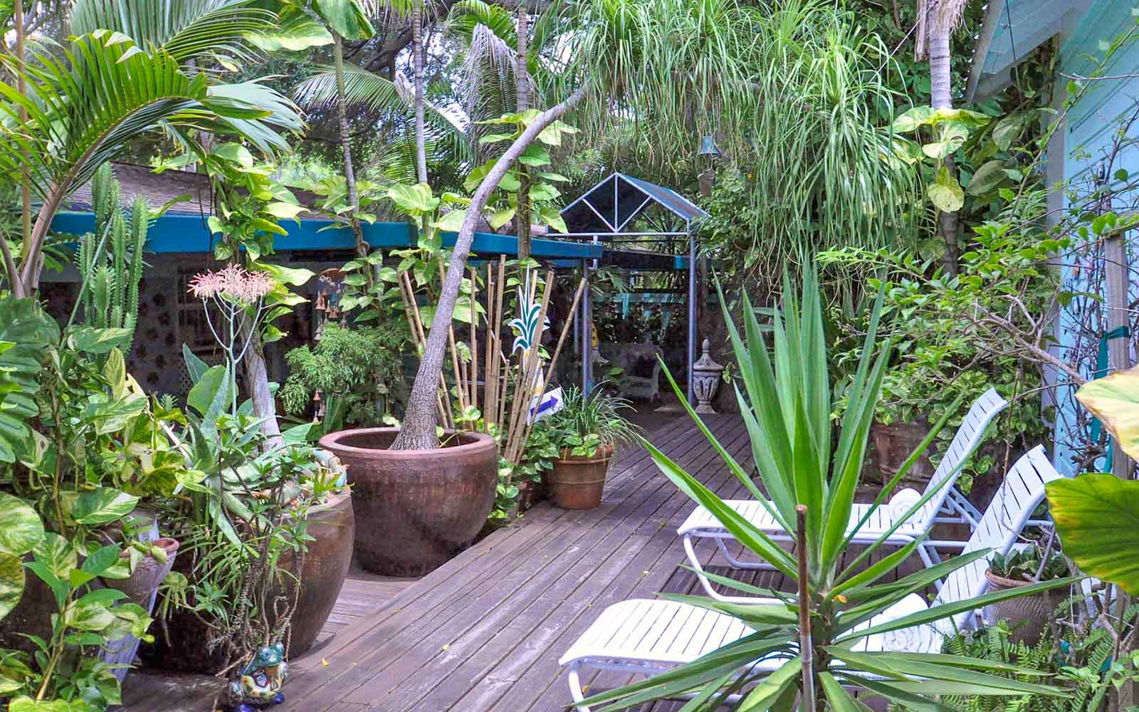 Pineapple Point photo 4