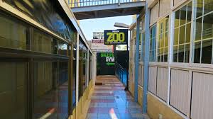Zoo Mens Bar photo 4