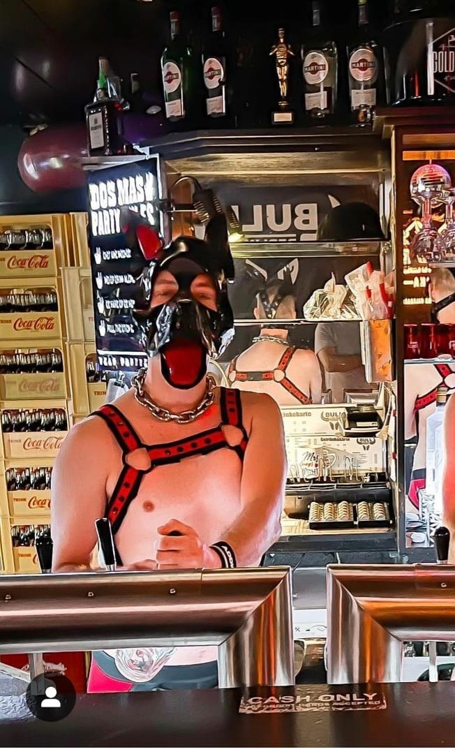 Bull Bar photo 4