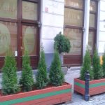 Lodi Dodi photo 3