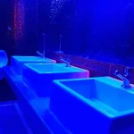 Seven Cruising Bar photo 2